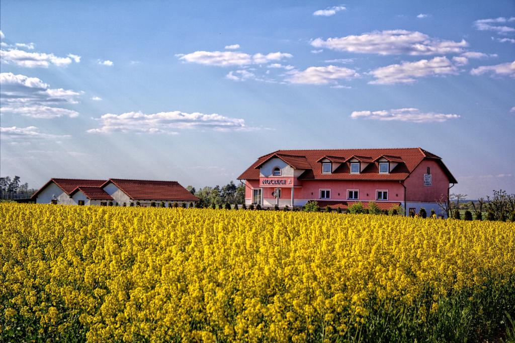 Noclegi Biala Roza Boleslawiec  Exterior foto